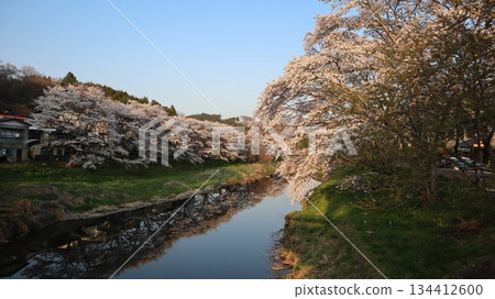 Cherry blossoms in full bloom and the scenery reflected on the water surface - Ishikawa Sakuradani 134412600
