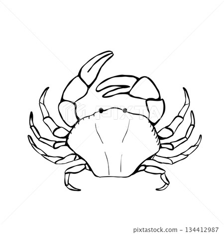 Crab outline black and white marine crustacean front view with claws simple line drawing for seafood menu branding packaging coastal decor and education Crab outline black and white marine crustacean front view with claws simple line drawing for seafood menu branding packaging coastal decor and education 134412987