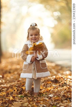 With fallen leaves in hands. Cute little girl is in the autumn forest With fallen leaves in hands. Cute little girl is in the autumn forest 134413909