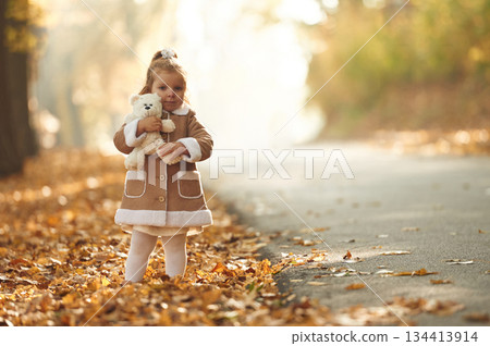 White teddy bear toy in hands. Cute little girl is in the autumn forest with fallen leaves White teddy bear toy in hands. Cute little girl is in the autumn forest with fallen leaves 134413914