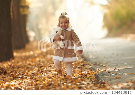 White teddy bear toy in hands. Cute little girl is in the autumn forest with fallen leaves 134413915