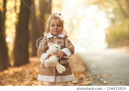 Near the road. Cute little girl is in the autumn forest with teddy bear in hands Near the road. Cute little girl is in the autumn forest with teddy bear in hands 134413924