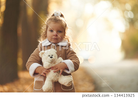Near the road. Cute little girl is in the autumn forest with teddy bear in hands 134413925