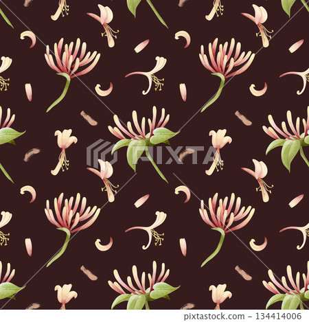 Botanical honeysuckle flowers and petals watercolor seamless pattern on dark brown. Pastel yellow and pink garden blooming vine plant for spring and summer designs. Hand drawn floral repeat background 134414006