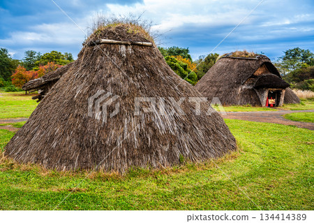 三內丸山遺址(青森縣青森市) 三內丸山遺址(青森縣青森市) 134414389