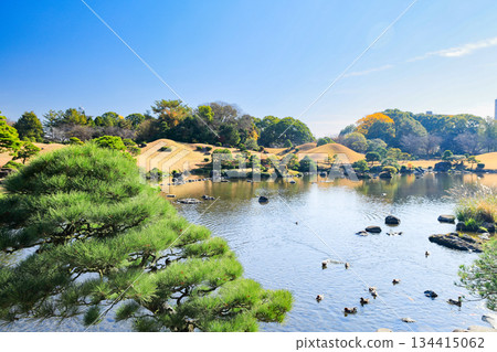The elegant feudal lord garden of Suizenji Jojuen Garden in Kumamoto The elegant feudal lord garden of Suizenji Jojuen Garden in Kumamoto 134415062