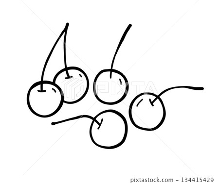 Cherry berry hand drawn doodle vector sketch. Outline illustration isolated on white Cherry berry hand drawn doodle vector sketch. Outline illustration isolated on white 134415429