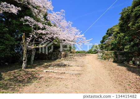 Yonago Castle Ruins (Tottori Prefecture): Stone walls and stone steps separating the upper enclosure of Naizenmaru 134415482
