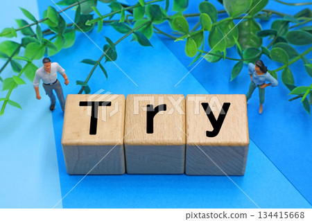 標有“嘗試”的方塊 134415668