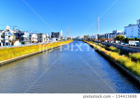 Hayase Pedestrian Bridge / Looking downstream (Hayase Bridge) from the Shingashi River (Itabashi Ward, Tokyo) [November 2025] 134415698