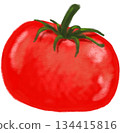 Tomato red vegetable hand painting chalk illustration art 134415816