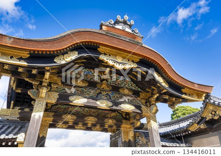 Late autumn at Nijo Castle Karamon Gate, Nakagyo Ward, Kyoto City 134416011