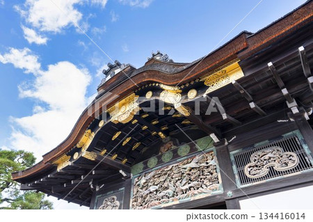 Late autumn at Nijo Castle, Ninomaru Palace, Nakagyo Ward, Kyoto City 134416014