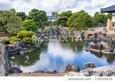 京都府京都市中京區二條城二之丸庭園的深秋景色 134416018