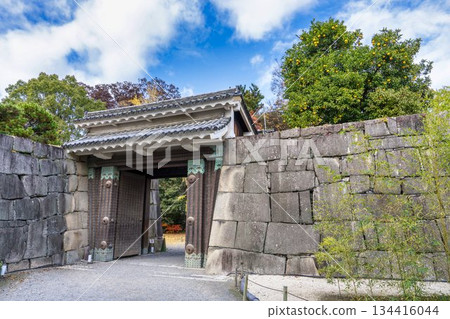 Nijo Castle in late autumn: Kitanakashikirimon Gate and orange fruits, Nakagyo Ward, Kyoto City 134416044