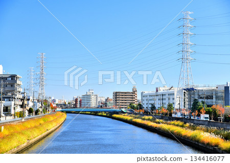 Hayase Pedestrian Bridge / Looking downstream (Hayase Bridge) from the Shingashi River (Itabashi Ward, Tokyo) [November 2025] 134416077