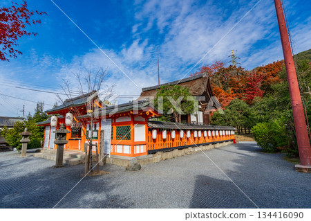 京都府宇治市宇治神宮本殿 134416090