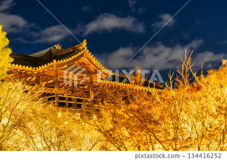 秋末時分的東福寺，燈光璀璨的通天橋，京都府京都市 134416252