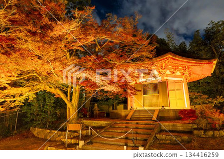 京都府京都市東福寺深秋時節，燈光璀璨的庭園。 134416259