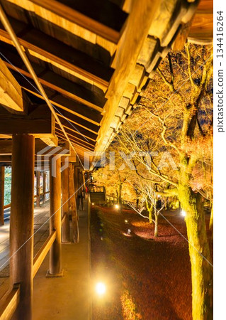 Tofukuji Temple in late autumn, illuminated Tsutenkyo Bridge, Kyoto City, Kyoto Prefecture Tofukuji Temple in late autumn, illuminated Tsutenkyo Bridge, Kyoto City, Kyoto Prefecture 134416264