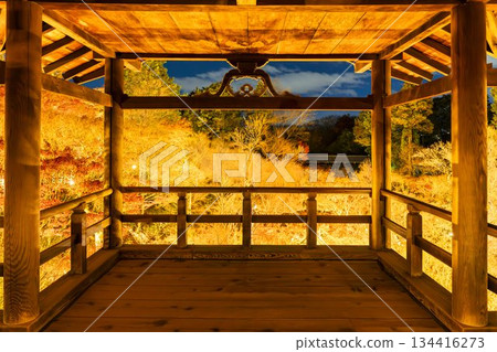 秋末時分的東福寺，燈光璀璨的通天橋，京都府京都市 134416273