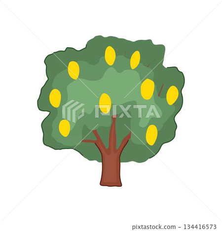 Fruit tree growing with yellow citrus fruits Fruit tree growing with yellow citrus fruits 134416573