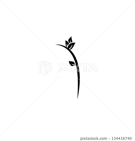 Icon vectors illustration stem and leaf symbol design Icon vectors illustration stem and leaf symbol design 134416740