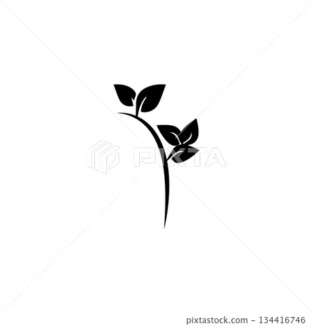 Icon vectors illustration stem and leaf symbol design 134416746