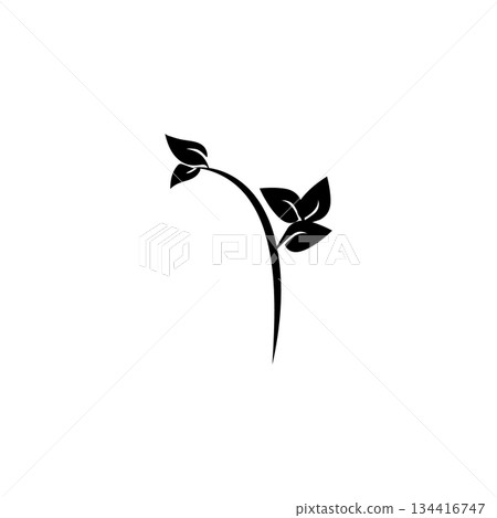 Icon vectors illustration stem and leaf symbol design Icon vectors illustration stem and leaf symbol design 134416747