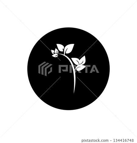 Icon vectors illustration stem and leaf symbol design Icon vectors illustration stem and leaf symbol design 134416748
