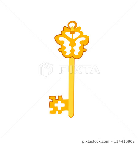 Golden skeleton key representing security, access, and solution 134416902