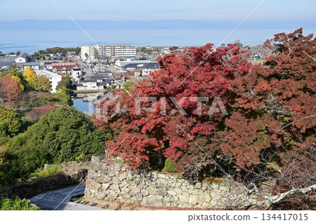 西之丸三重塔（彥根城）上的秋葉 134417015