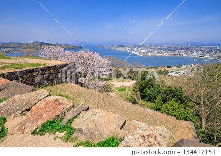 <Tottori Prefecture> Cherry blossoms and a view from the ruins of Yonago Castle, around Yonago Port, April 134417151