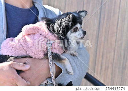 A man holding his dog 134417274