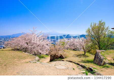 <鳥取縣>米子城遺址、鐵門遺址櫻花及大山，四月 134417290