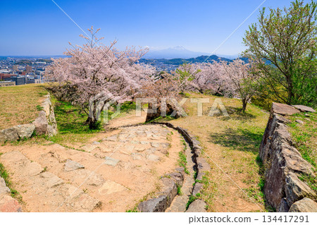 <Tottori Prefecture> Yonago Castle Ruins, Cherry Blossoms at the Iron Gate Ruins and Mt. Daisen, April 134417291
