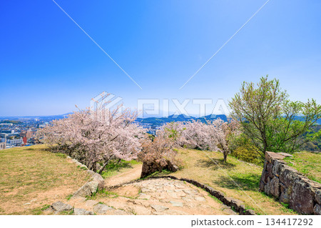<Tottori Prefecture> Yonago Castle Ruins, Cherry Blossoms at the Iron Gate Ruins and Mt. Daisen, April 134417292