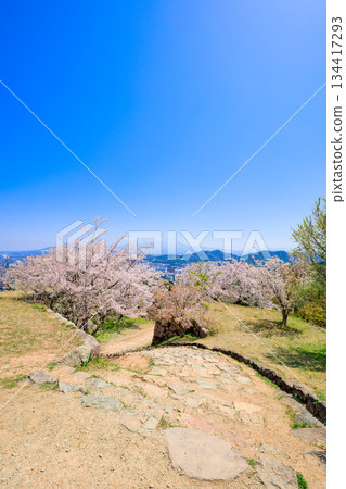 <Tottori Prefecture> Yonago Castle Ruins, Cherry Blossoms at the Iron Gate Ruins and Mt. Daisen, April <Tottori Prefecture> Yonago Castle Ruins, Cherry Blossoms at the Iron Gate Ruins and Mt. Daisen, April 134417293