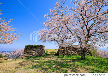 <Tottori Prefecture> Yonago Castle in spring: Stone walls near the Kanbuki-gomon Gate, April 134417294
