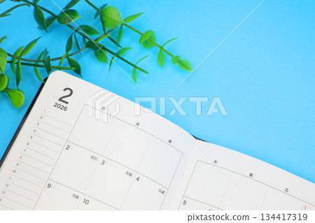 商業計劃表二月日曆 134417319