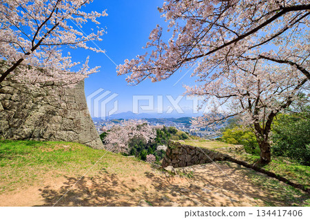 <鳥取縣>米子城遺址、鐵門遺址櫻花及大山,四月 <鳥取縣>米子城遺址、鐵門遺址櫻花及大山,四月 134417406