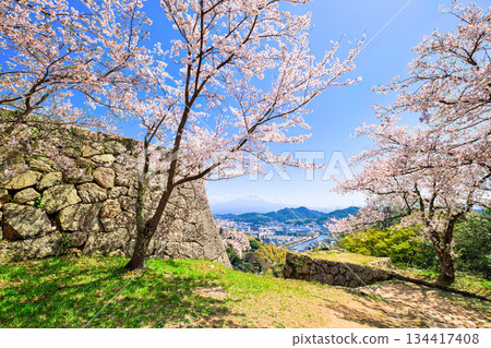 <鳥取縣>米子城遺址、鐵門遺址櫻花及大山,四月 <鳥取縣>米子城遺址、鐵門遺址櫻花及大山,四月 134417408