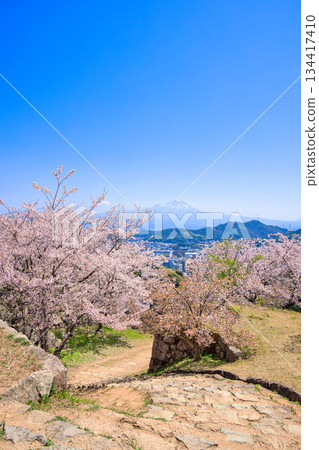 <鳥取縣>米子城遺址、鐵門遺址櫻花及大山,四月 <鳥取縣>米子城遺址、鐵門遺址櫻花及大山,四月 134417410