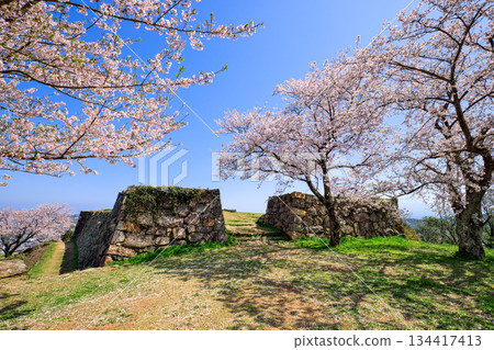 <Tottori Prefecture> Yonago Castle in spring: Stone walls near the Kanbuki-gomon Gate, April 134417413