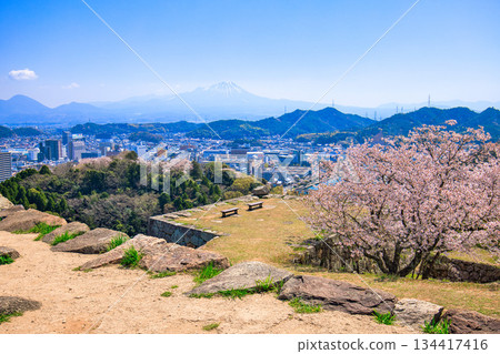 <鳥取縣> 米子城遺址，城丘頂部的基石殘跡，四月 134417416