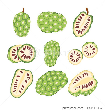 Noni fruit displaying whole and cut pieces Noni fruit displaying whole and cut pieces 134417437