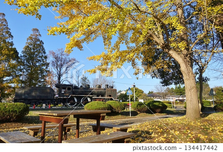 <Chiba Prefecture> Hagiwara Traffic Park (Mobara City) 134417442