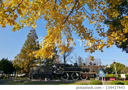<千葉縣>萩原交通公園(茂原市) <千葉縣>萩原交通公園(茂原市) 134417443