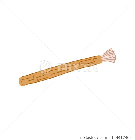 Miswak natural teeth cleaning stick oral hygiene illustration Miswak natural teeth cleaning stick oral hygiene illustration 134417463