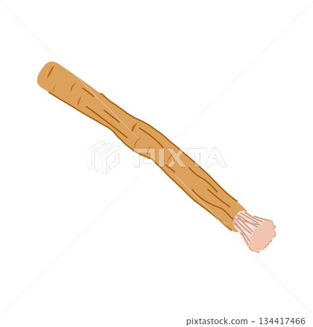 Miswak natural teeth cleaning stick promoting oral hygiene Miswak natural teeth cleaning stick promoting oral hygiene 134417466